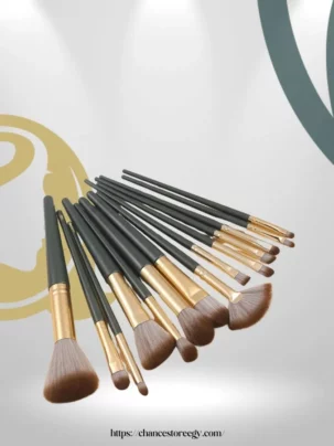 SheIn Makeup brush set consisting of 14 pieces + two sponge pieces