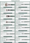 SheIn Makeup brush set consisting of 14 pieces + two sponge pieces