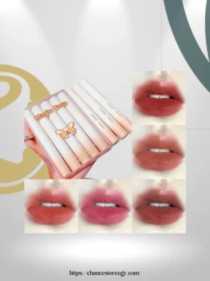 SHEIN MAGIC CASA Matte Lip Gloss Set, 5pcs Waterproof Liquid